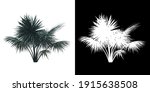 front view of silver date palm... | Shutterstock . vector #1915638508