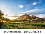 Wine Region Near Stellenbosch...