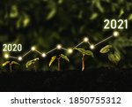 Small photo of Seedling are growing from soil with growth comparative year 2020 to 2021. Concept of business growth, profit, agriculture, development and success graph.