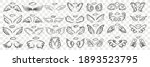 angels wings and halo doodle set | Shutterstock .eps vector #1893523795