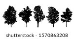 coniferous tree silhouettes... | Shutterstock . vector #1570863208