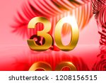 gold isolated number 30 on red... | Shutterstock . vector #1208156515