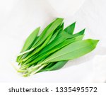 Small photo of Wild garlic, ramsons, buckrams, broad-leaved garlic, wood garlic, bear leek or bear's garlic. Fresh and organic from the forest. Good for spring detox.