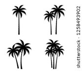 A Palm Tree Silhouette Set.