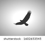 Eagle Silhouette on White Background. Isolated Vector Animal Template for Logo Company, Icon, Symbol etc