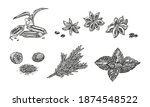 vector sketch illustration of... | Shutterstock .eps vector #1874548522