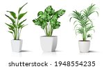 collection of 3d realistic... | Shutterstock .eps vector #1948554235
