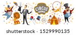 circus  vector illustrations on ...