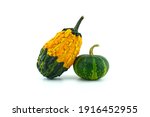 Colorful pumpkins and squashes isolated on white background