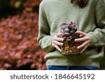 Small photo of Close Up Of Girl Outdoors Holding Jar Of Autumn Pine Cones With Conkers Acorns And Beech Nut Cases