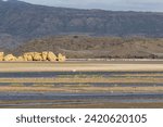 Small photo of Lake Natron, the largest lake in the East African Rift Valley in Tanzania and to a small extent in Kenya, known for its pink flamingos
