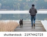 A Man With His Dog For A Walk...