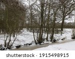 Frozen Brook In The Netherlands ...