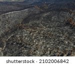 Small photo of Aerial view of burnt trees and blackened tree trunks on the island of Evia in Greece on August 19, 2021. The wildfires burned over 50 thousand hectares in the northern part of the island for ten days.