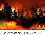 Chile wildfire, Heatwave  causes forest burning rapidly and destroyed, silhouette, natural calamity, 