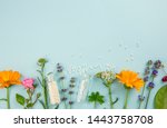 Flat lay view homeopathic medicine pills in jars and spilled around on light blue background, decorated with fresh various herbs and plants, flowers. Homeopathy border background, lot of copy space.