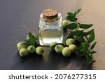 Small photo of Myrtle Oil in a Glass Container. With myrtle oil , with myrtle berries isolated on gray Background.