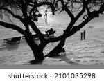 Small photo of Winter landscape. Black and white photo. Silhouette of black trees and people nka against the background of a frozen lake. City park on a winter sunny day.