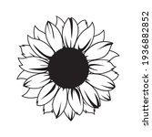 Sunflower Vector Illustration...
