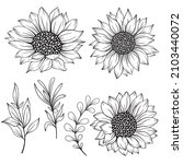 Sunflower Outline, Sunflower Line Art, Floral Line Drawing, black and white sunflowers vector illustration
