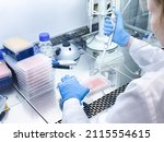 Small photo of A laboratory technician performing biological activity evaluation of a new anticancer drug using elaborated laboratory equipment. The experiment is carried out in a sterile environment.