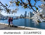 Small photo of Parent-child walking in Vancouver seawall trail in springtime. Vancouver marina, modern buildings skyline.