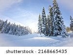 Small photo of Snow firs in the winter forest. Winter snow scene. Snowy winter nature landscape. Winter snow landscape