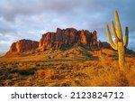 Cactus in the desert canyon on the background of rocks. Giant cactus in canyon desert. Canyon cactus landscape
