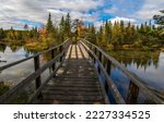 Wooden bridge over the autumn river. River bridge in autumn forest. Autumn forest wooden bridge. Bridge over autumn river