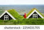 Small photo of A female tourist in a red jacket walks near traditional Icelandic peat houses. Peat houses in Iceland