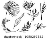 ink line drawn tropical leaves. ... | Shutterstock .eps vector #1050293582