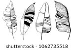 banana leaves illustration. set ... | Shutterstock .eps vector #1062735518