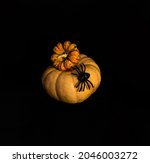 Pumpkins And A Spider On A Dark ...