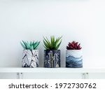 DIY round shape concrete pots with paintings with green and red succulent plants isolated on a white wooden shelf on white wall background with copy space. Three unique color painted cement planters.