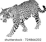 Jaguar Walking Free Stock Photo - Public Domain Pictures