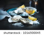 Fresh Oysters close-up on blue plate, served table with oysters, lemon and ice. Healthy sea food. Oyster dinner with champagne in restaurant. Gourmet food.