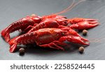 Small photo of Crayfish, Crawfish closeup. Red boiled crayfish with herbs on stone slate dark background. Crawfishes. Fresh Lobster closeup.