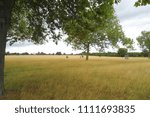 Small photo of autumn meadow in the park; happy family on a country bike ride; English gardens, purlieu in Windsor, England