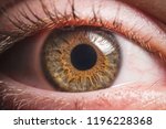 Human Eye Detail