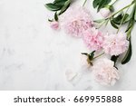 Beautiful pink peony flowers on white table with copy space for your text top view and flat lay style