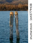 Wooden Mooring Post In The...