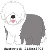 The Old English Sheepdog Is A...