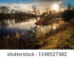 Small photo of Evening Walk with Kessy on the Aare in Wangen a.d. Aare