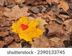 Small photo of Heart on maple leaf. Infatuation or loneliness concept. Open pure heart symbol, copy space. Unrequited love victim of Valentine day. Beautiful autumn background