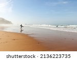 View to Praia do Amado, Beach and Surfer spot near Sagres and Lagos, Costa Vicentina Algarve Portugal 