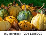 Decorative Gourds Or Pumpkins...