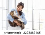 Small photo of Millennial Asian young female owner standing smiling holding showing love playing with cute fat tabby long hair little domestic kitty furry purebred pussycat pet friend in arms in living room at home.