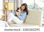 Small photo of Millennial Asian young kindly cheerful female owner sitting on cozy sofa couch holding hugging cuddling showing love with short hair cute little domestic tricolor kitten furry pussycat pet friend.