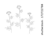floral elements. grass. vector... | Shutterstock .eps vector #172722788