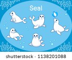Cute Seal Animal Cartoon Set...